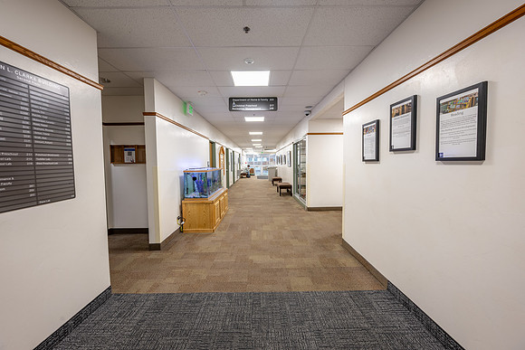 Building Entryways - Nov 2025