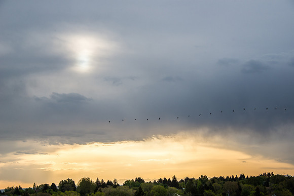 The sun rises over Rexburg on a Spring morning.