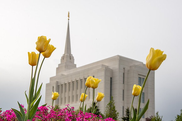 Rexburg Temple- MAY 2015