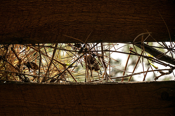 Can you guess where this was taken? Here is a hint: It is close to the Ricks Building.