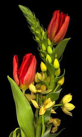 The BYU-Idaho Flower Shop provides a wide variety of beautiful flowers and floral design.
