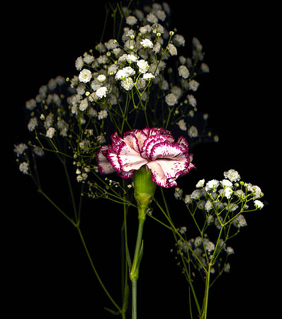 The BYU-Idaho Flower Shop provides a wide variety of beautiful flowers and floral design.