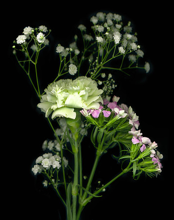 The BYU-Idaho Flower Shop provides a wide variety of beautiful flowers and floral design.