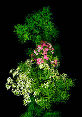 The BYU-Idaho Flower Shop provides a wide variety of beautiful flowers and floral design.