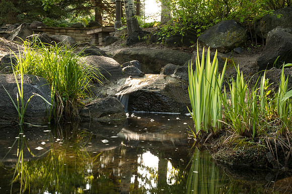 Water flows from a small stream in the Thomas E. Ricks Garden.