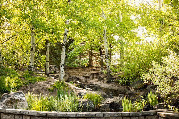 Light shines through the trees in the Thomas E. Ricks Garden, one early morning.