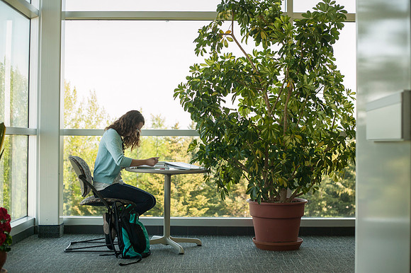 A student study in the Ricks Building as the sun starts to cast its light on campus.