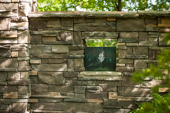 A picture taken by Tyler Rickenbach, almost fills a window frame in the Thomas E. Ricks Garden.