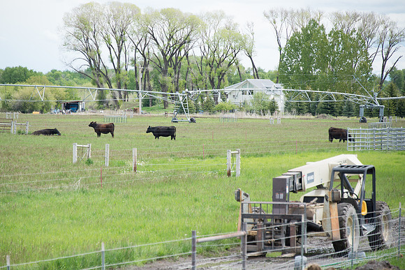 The Livestock Center.
