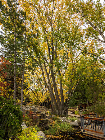 Campus with Autumn colors - Oct 2022