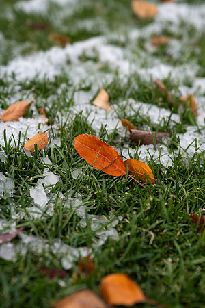 Campus During Fall - Oct 2025
