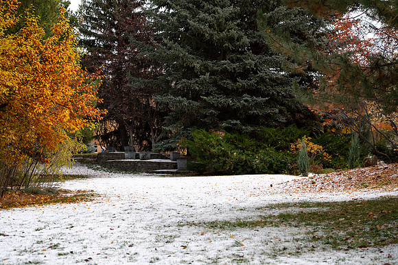Campus During Fall - Oct 2025