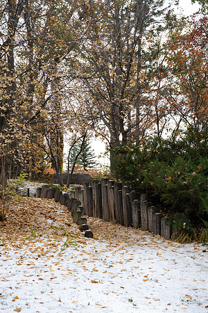 Campus During Fall - Oct 2025