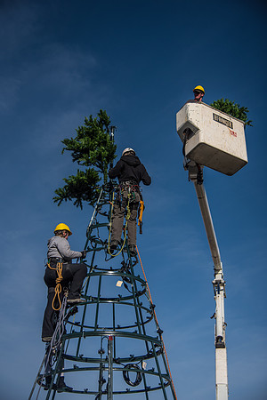 The BYU-Idaho ground keeping crew set up a christmas tree in front of the Taylor chapel. Fall Semester.