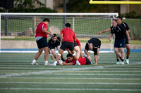 Rugby Championships.