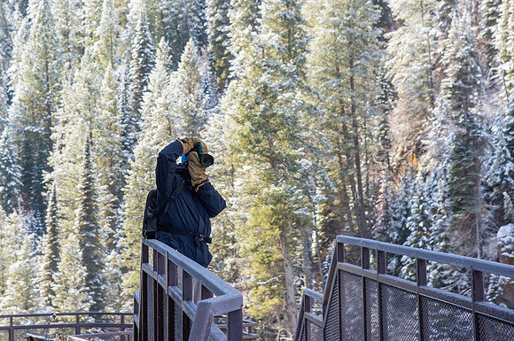 Mesa Falls - October 2022