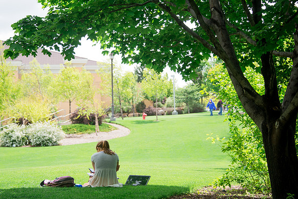 Student studies in the Gardens on a spring morning.