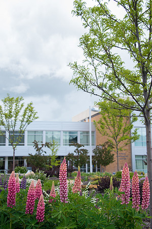 Spring flowers grow near the Manwaring Center.