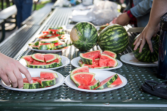 Life Skills held a "Chopped" Themed outdoor cooking class. Teams were given ingredients and a time limit of 30 minutes to complete their meal.