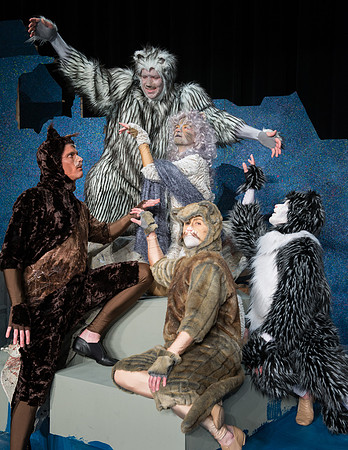 Promo photos for the Cats theatre production.
