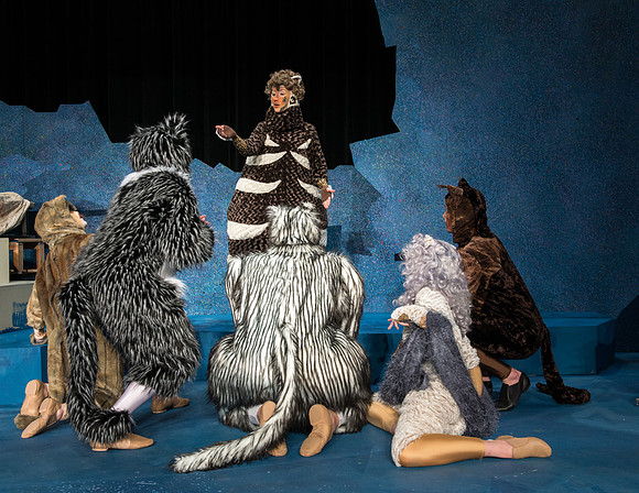 Promo photos for the Cats theatre production.