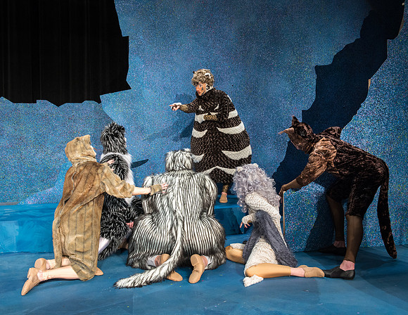 Promo photos for the Cats theatre production.
