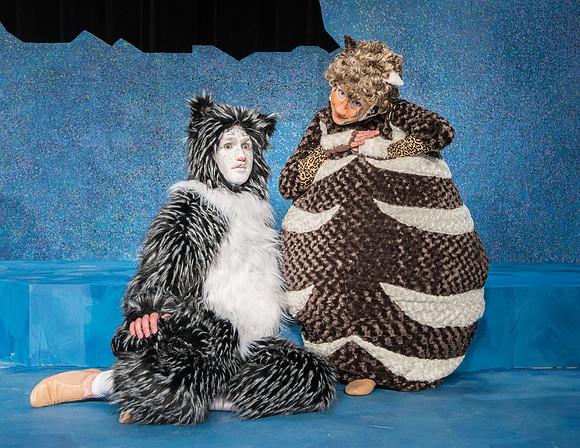Promo photos for the Cats theatre production.