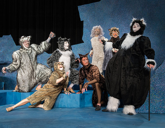 Promo photos for the Cats theatre production.