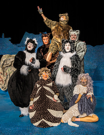 Promo photos for the Cats theatre production.
