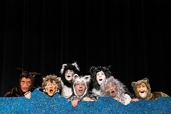 Promo photos for the Cats theatre production.