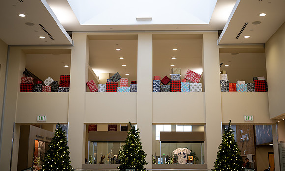 Campus - Nov 2025