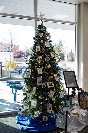 Christmas Tree Lane - Nov 2025