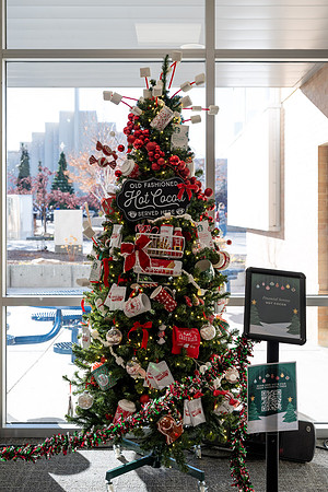 Christmas Tree Lane - Nov 2025