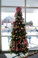 Christmas Tree Lane - Nov 2025