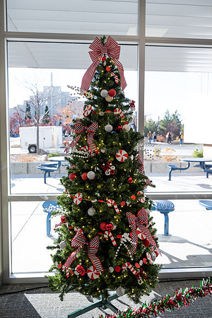Christmas Tree Lane - Nov 2025