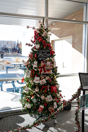 Christmas Tree Lane - Nov 2025