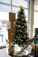 Christmas Tree Lane - Nov 2025