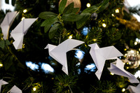 Christmas Tree Lane - Nov 2025