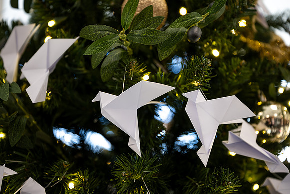 Christmas Tree Lane - Nov 2025
