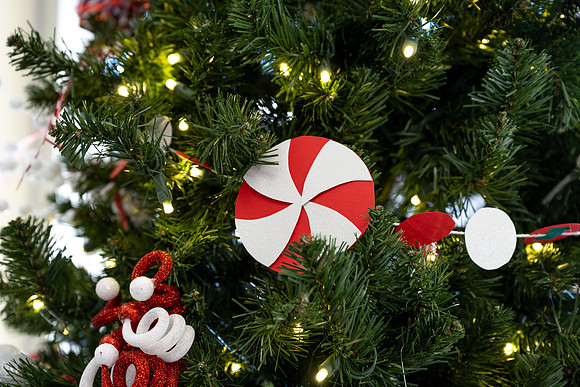 Christmas Tree Lane - Nov 2025