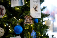 Christmas Tree Lane - Nov 2025