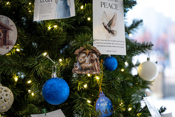 Christmas Tree Lane - Nov 2025