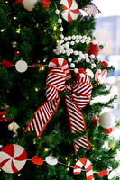 Christmas Tree Lane - Nov 2025