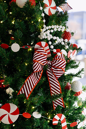 Christmas Tree Lane - Nov 2025