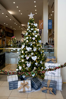 Christmas Tree Lane - Nov 2025