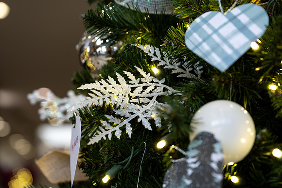 Christmas Tree Lane - Nov 2025