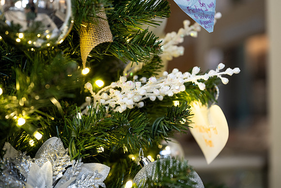 Christmas Tree Lane - Nov 2025