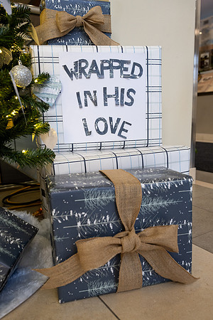 Christmas Tree Lane - Nov 2025
