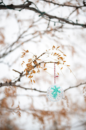 Winter Campus - Dec 2025