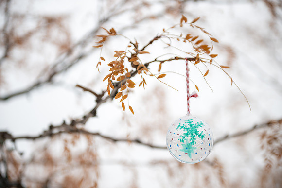 Winter Campus - Dec 2025